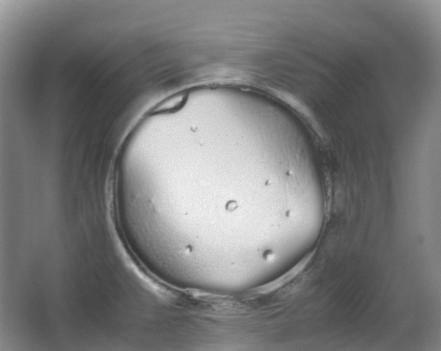 X0000062931383200601271821