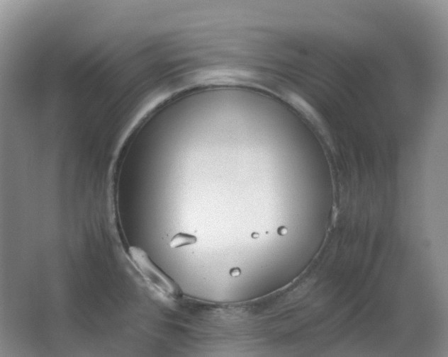 X0000062931384200601271821