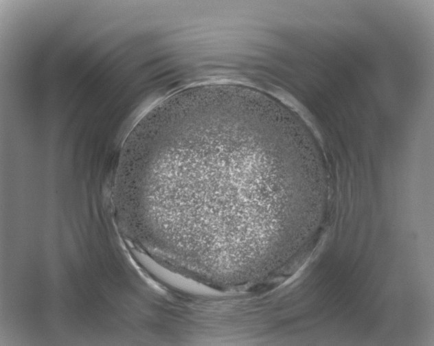 X0000062931385200601271820