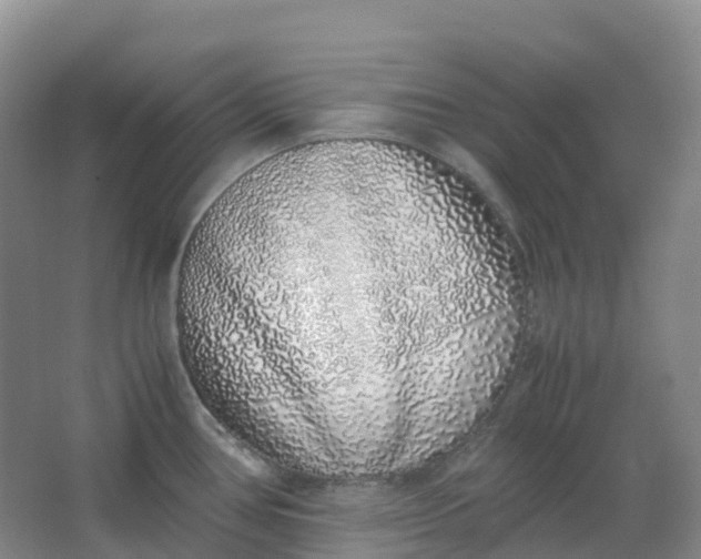 X0000062931386200601271820