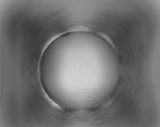 X0000062931387200601271820