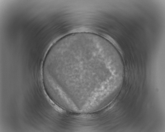 X0000062931388200601271820