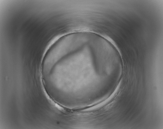 X0000062931389200601271820