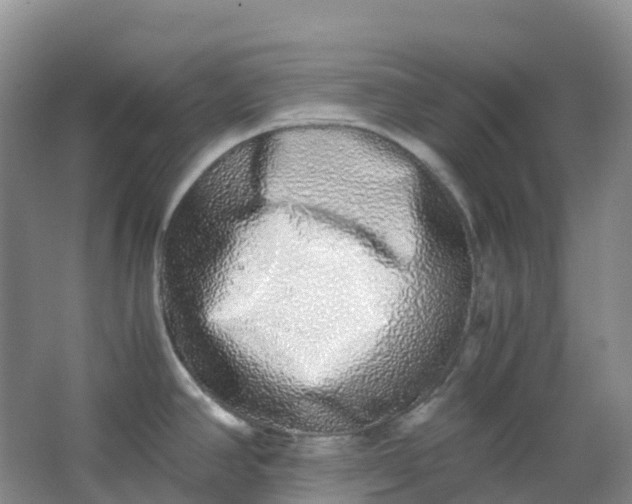 X0000062931390200601271820