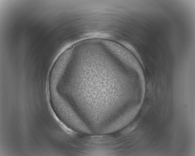 X0000062931391200601271820