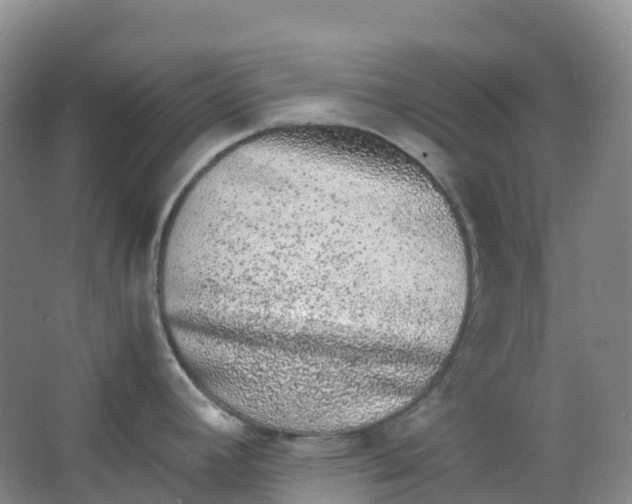 X0000062931392200601271820