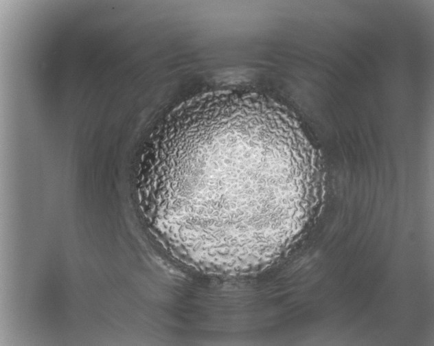 X0000062931393200601271820