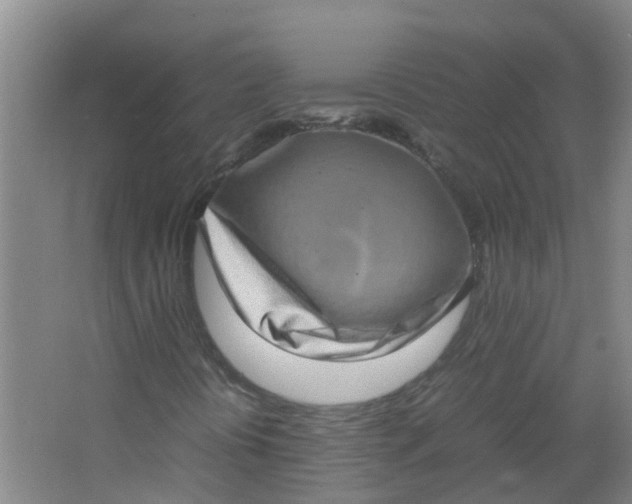 X0000062931394200601271820