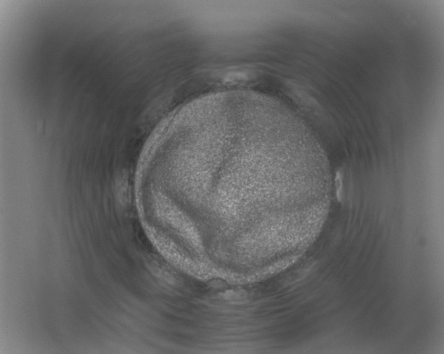 X0000062931395200601271820