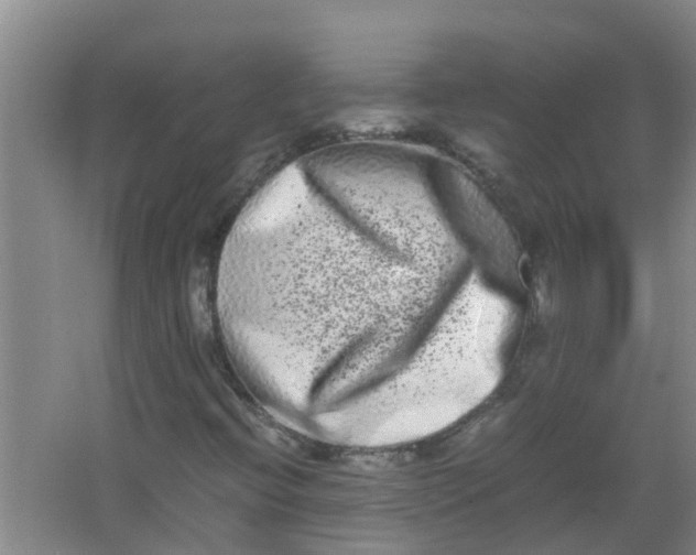 X0000062931396200601271820