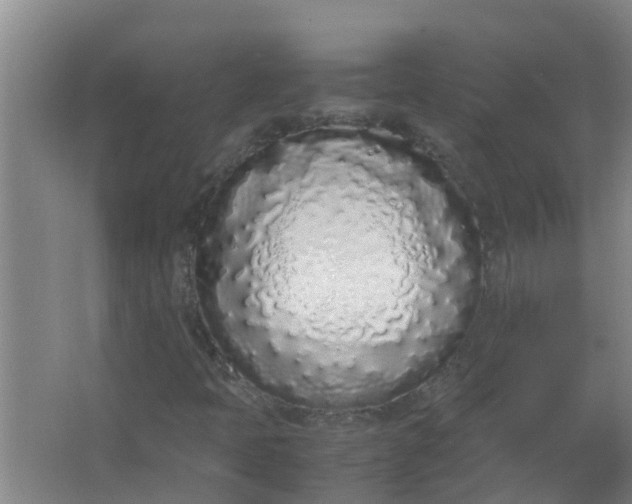 X0000062931397200601271820