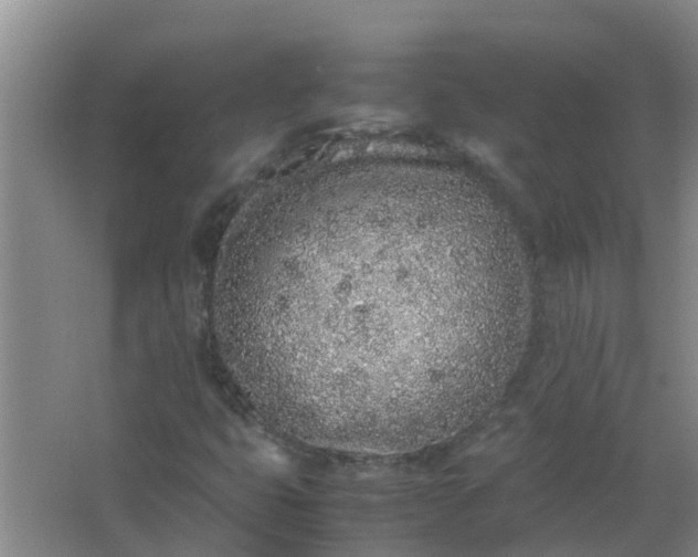 X0000062931399200601271820