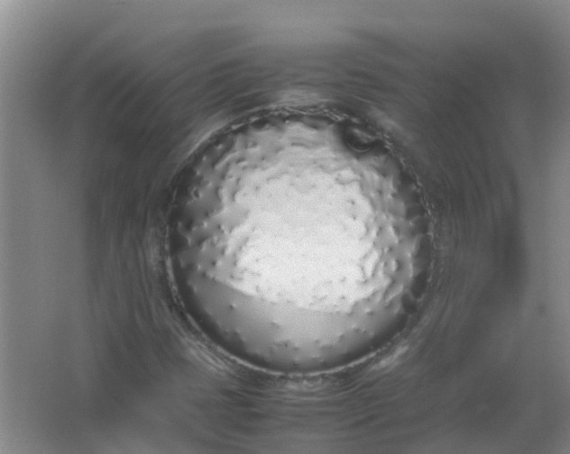 X0000062931401200601271820