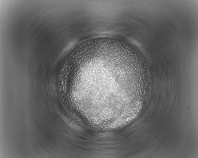 X0000062931403200601271820