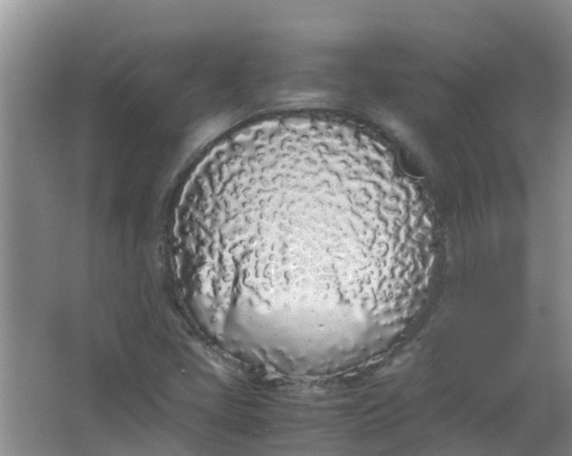 X0000062931405200601271820