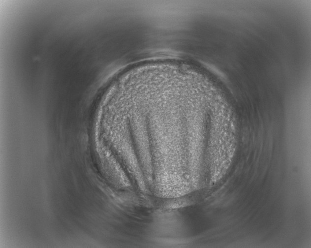 X0000062931407200601271820