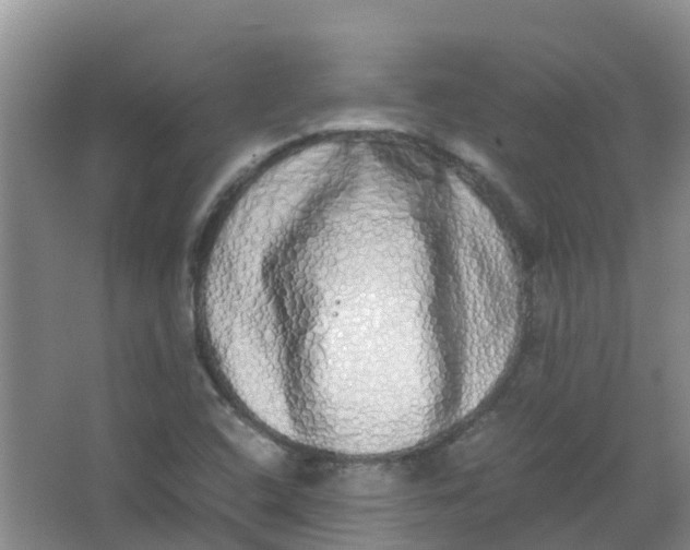 X0000062931408200601271820