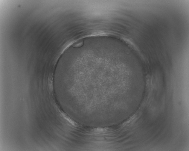 X0000062931409200601271820