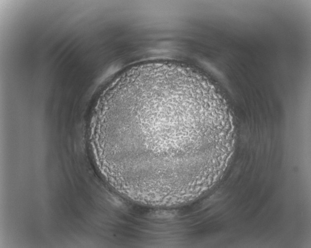 X0000062931411200601271820