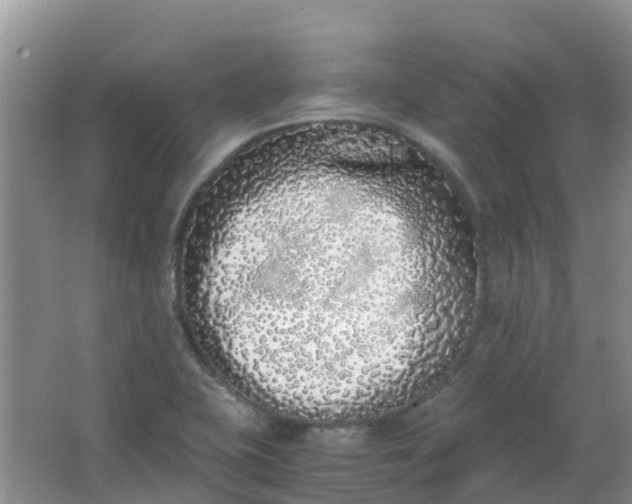 X0000062931415200601271820