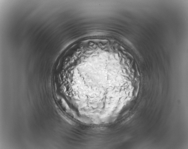 X0000062931417200601271820