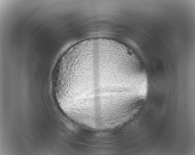 X0000062931419200601271820