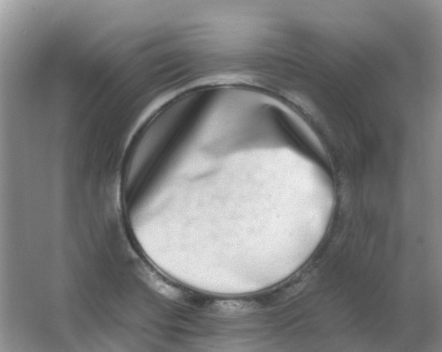 X0000062931420200601271820