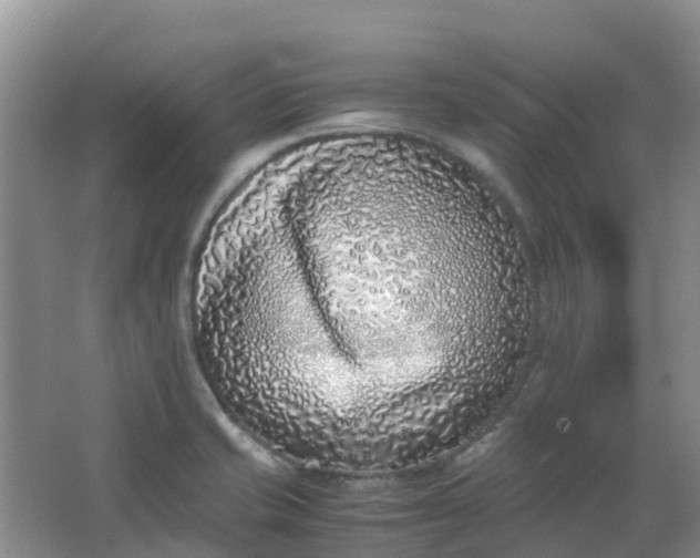 X0000062931421200601271820