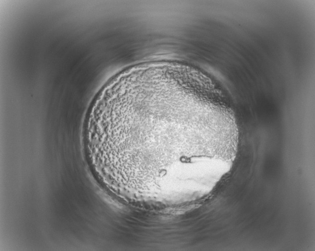 X0000062931423200601271820