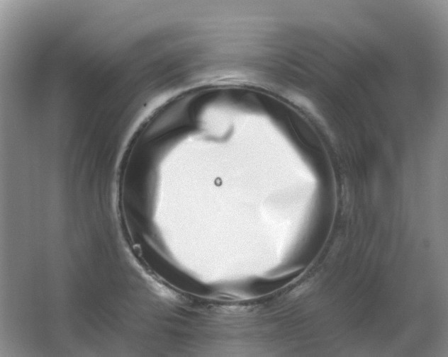 X0000062931424200601271820