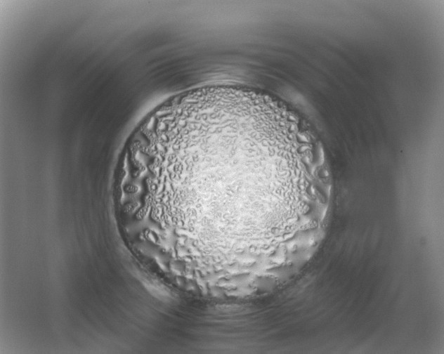 X0000062931427200601271820