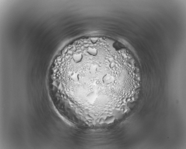 X0000062931429200601271820