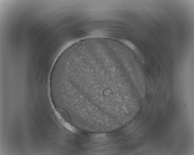 X0000062931431200601271820