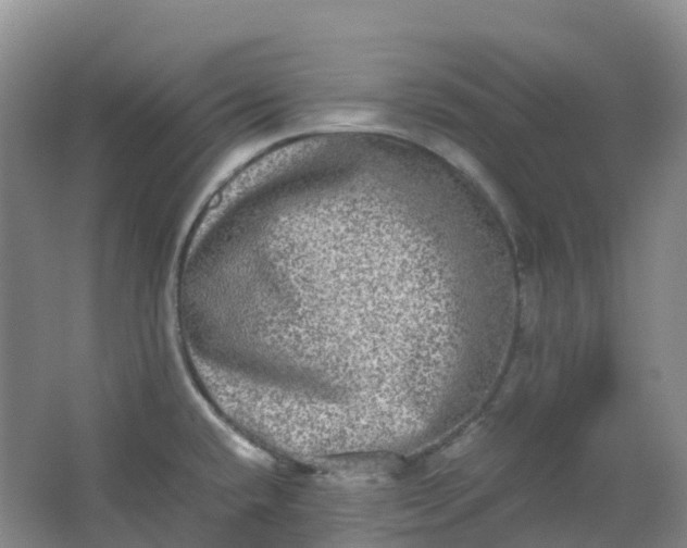 X0000062931432200601271820