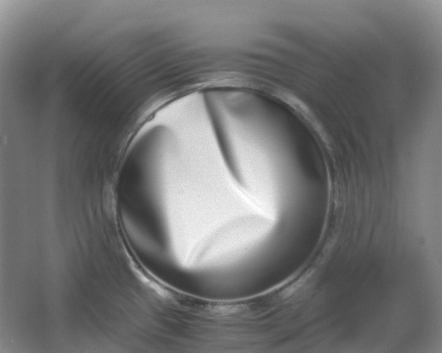 X0000062931433200601271820