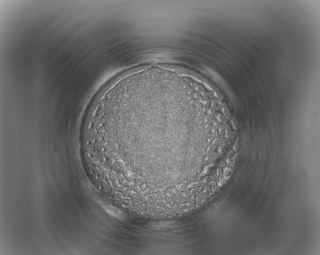 X0000062931435200601271820