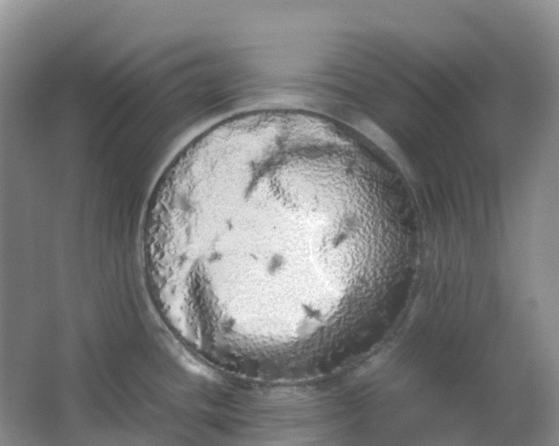 X0000062931436200601271820