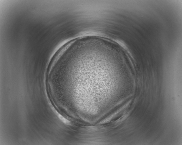 X0000062931438200601271820