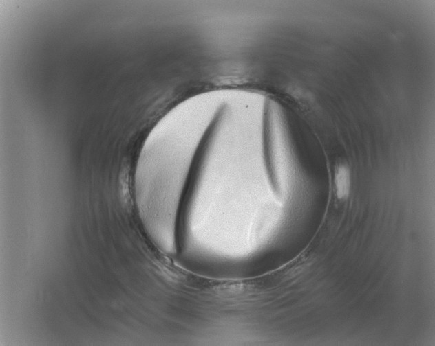 X0000062931444200601271819