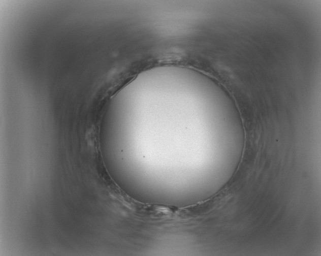 X0000062931445200601271819