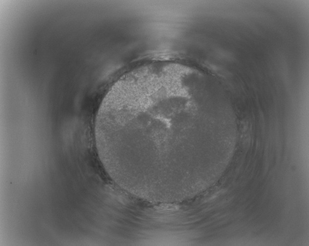 X0000062931446200601271819