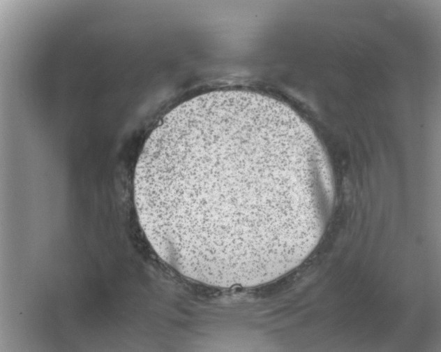 X0000062931447200601271819