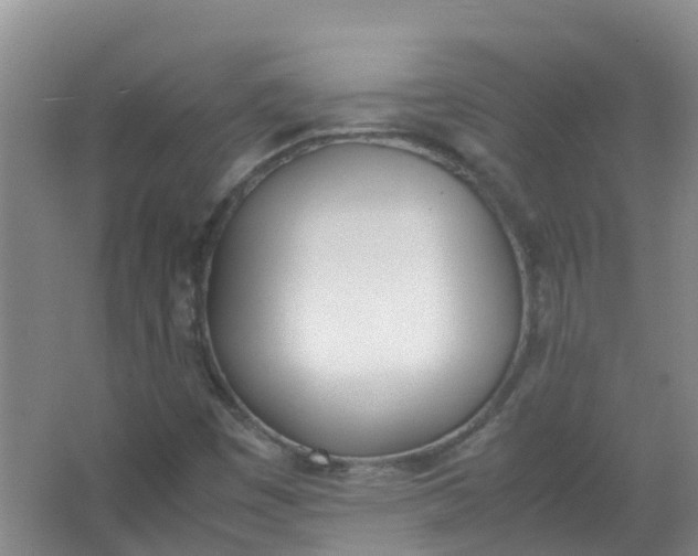 X0000062931449200601271819