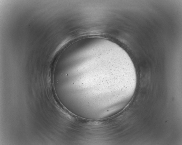 X0000062931450200601271819