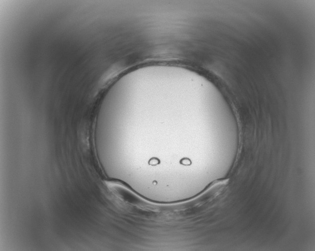 X0000062931451200601271819