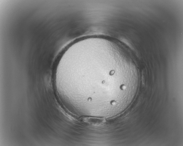 X0000062931452200601271819