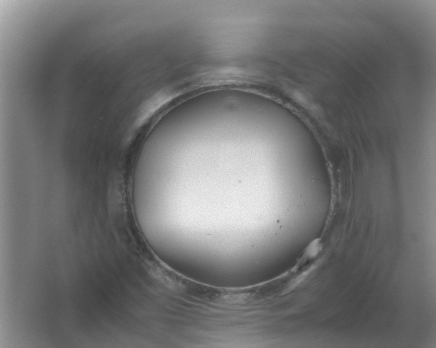 X0000062931453200601271819