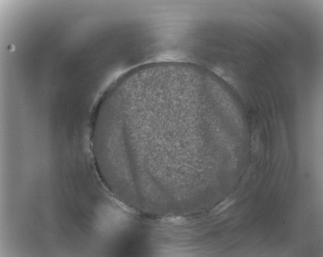 X0000062931454200601271819