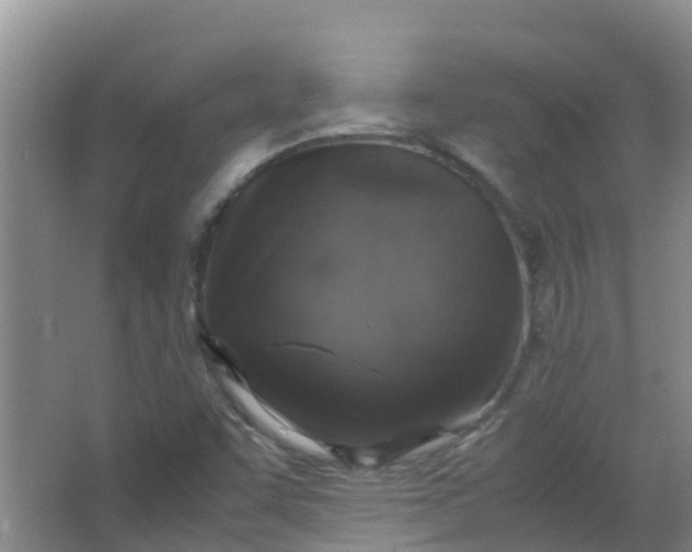 X0000062931455200601271819