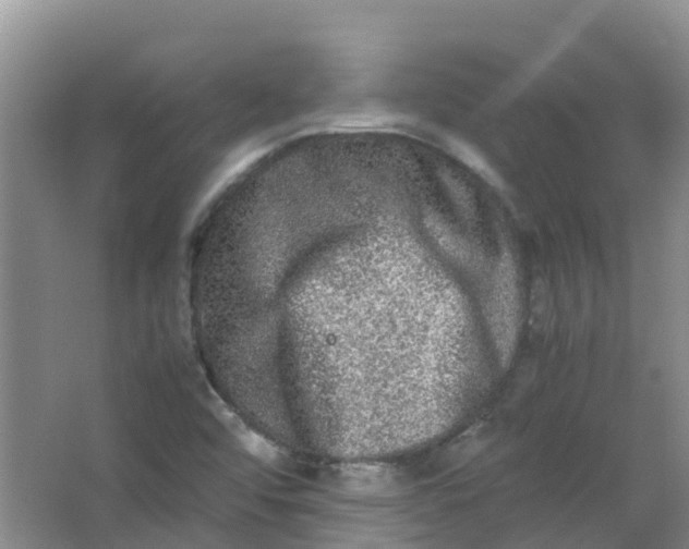 X0000062931456200601271819